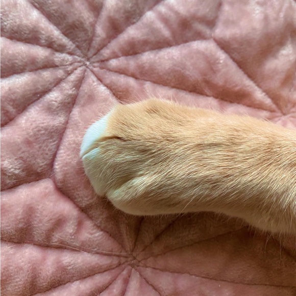 Meet Your Posher! - Picture 8 of 12